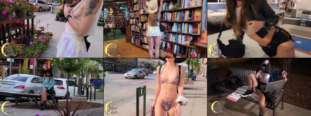 LilyMaeExhib - NO.086 Epic Public Flashing Compilation Vol. 1.jpg