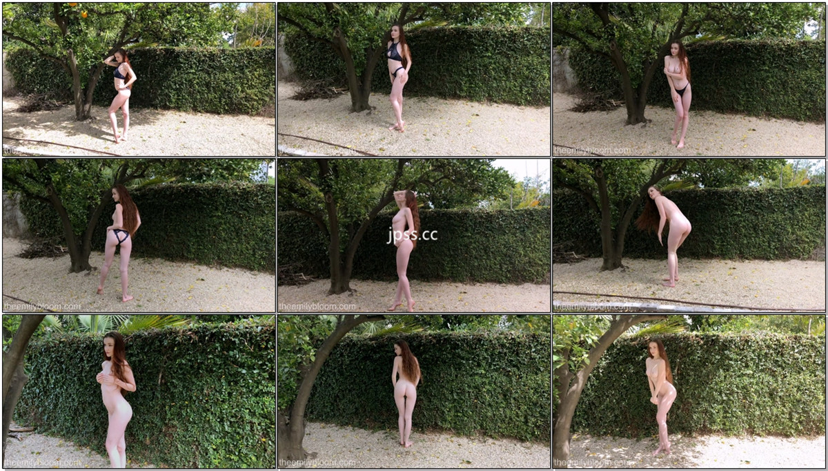 Emily Bloom - NO.334 Under The Tree.jpg